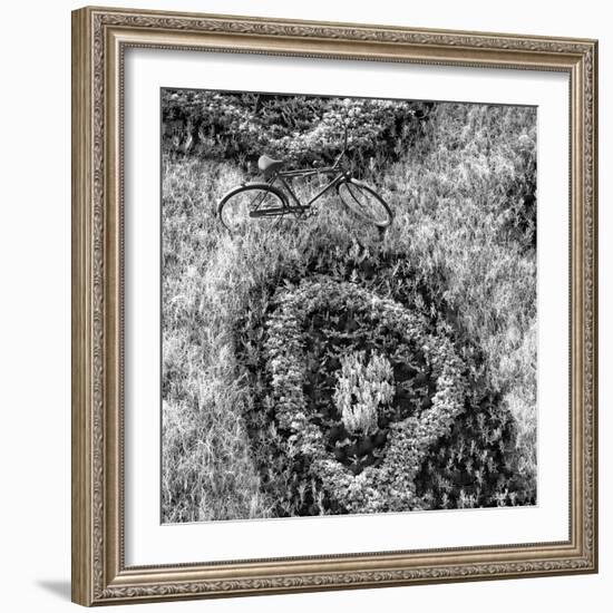 ¡Viva Mexico! Square Collection - Earth from above IV-Philippe Hugonnard-Framed Photographic Print