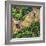 ¡Viva Mexico! Square Collection - Earth from above-Philippe Hugonnard-Framed Photographic Print