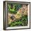 ¡Viva Mexico! Square Collection - Earth from above-Philippe Hugonnard-Framed Photographic Print