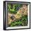 ¡Viva Mexico! Square Collection - Earth from above-Philippe Hugonnard-Framed Photographic Print