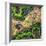 ¡Viva Mexico! Square Collection - Earth from above-Philippe Hugonnard-Framed Photographic Print