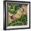 ¡Viva Mexico! Square Collection - Earth from above-Philippe Hugonnard-Framed Photographic Print