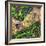 ¡Viva Mexico! Square Collection - Earth from above-Philippe Hugonnard-Framed Photographic Print