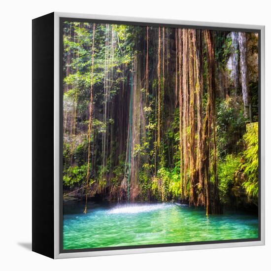 ¡Viva Mexico! Square Collection - Hanging Roots of Ik-Kil Cenote II-Philippe Hugonnard-Framed Premier Image Canvas