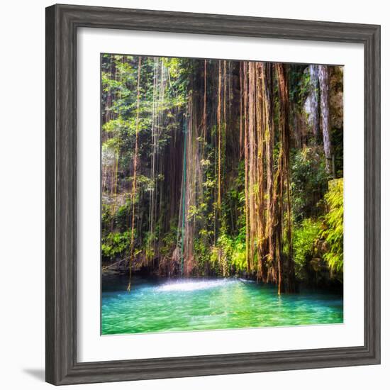 ¡Viva Mexico! Square Collection - Hanging Roots of Ik-Kil Cenote II-Philippe Hugonnard-Framed Photographic Print