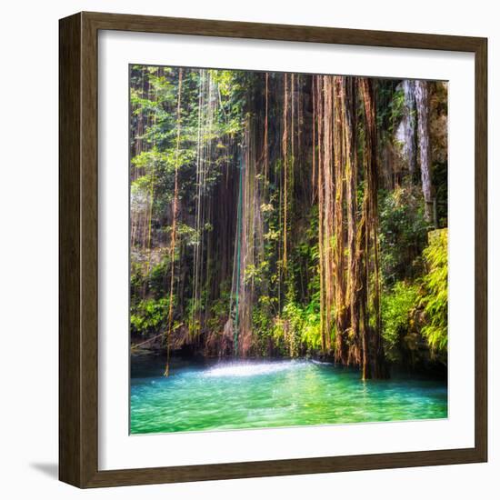 ¡Viva Mexico! Square Collection - Hanging Roots of Ik-Kil Cenote II-Philippe Hugonnard-Framed Photographic Print
