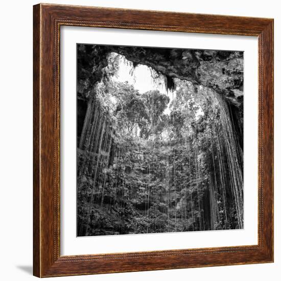 ¡Viva Mexico! Square Collection - Hanging Roots of Ik-Kil Cenote IV-Philippe Hugonnard-Framed Photographic Print