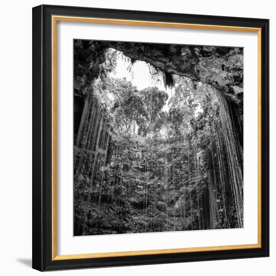 ¡Viva Mexico! Square Collection - Hanging Roots of Ik-Kil Cenote IV-Philippe Hugonnard-Framed Photographic Print