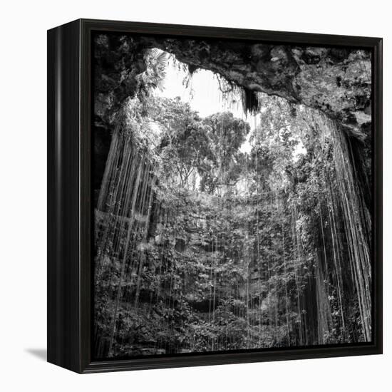 ¡Viva Mexico! Square Collection - Hanging Roots of Ik-Kil Cenote IV-Philippe Hugonnard-Framed Premier Image Canvas