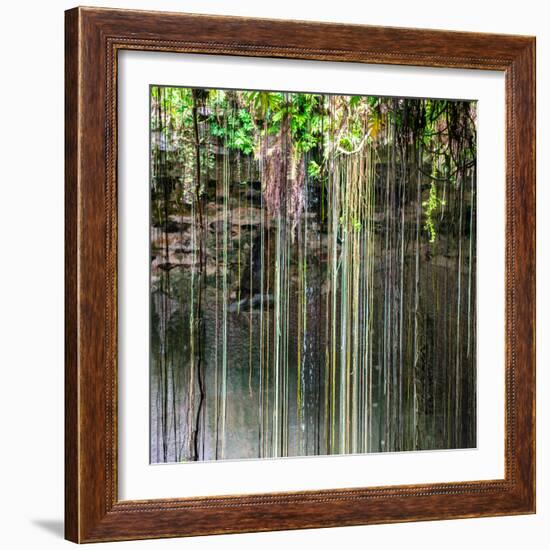 ¡Viva Mexico! Square Collection - Hanging Roots of Ik-Kil Cenote V-Philippe Hugonnard-Framed Photographic Print