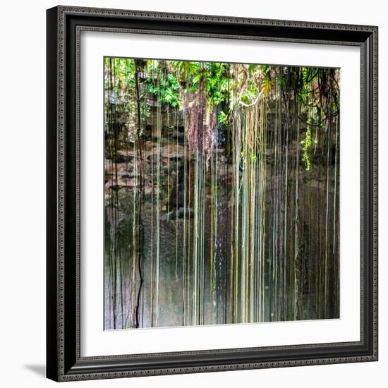 ¡Viva Mexico! Square Collection - Hanging Roots of Ik-Kil Cenote V-Philippe Hugonnard-Framed Photographic Print