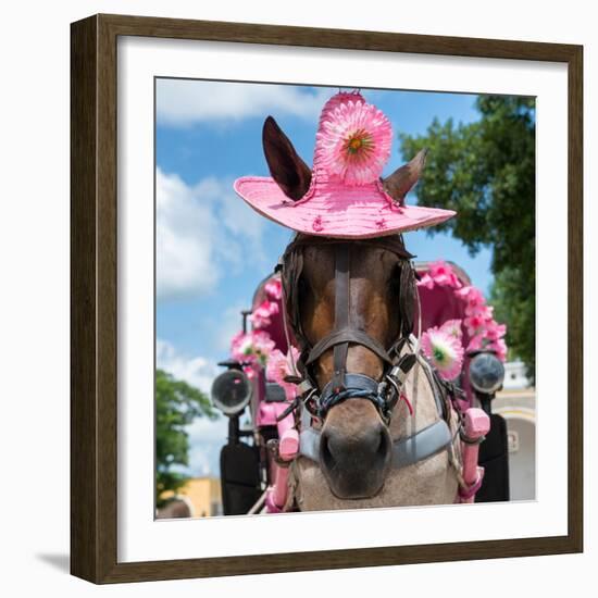 ¡Viva Mexico! Square Collection - Horse with a Pink Hat-Philippe Hugonnard-Framed Photographic Print