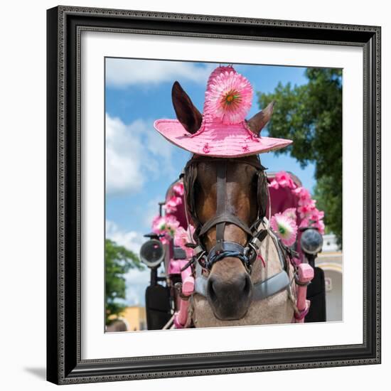 ¡Viva Mexico! Square Collection - Horse with a Pink Hat-Philippe Hugonnard-Framed Photographic Print