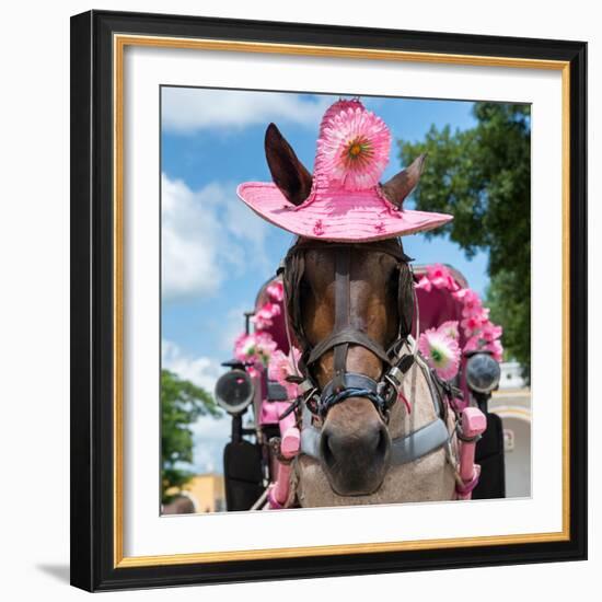 ¡Viva Mexico! Square Collection - Horse with a Pink Hat-Philippe Hugonnard-Framed Photographic Print