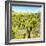 ¡Viva Mexico! Square Collection - Joshua Trees-Philippe Hugonnard-Framed Photographic Print