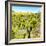 ¡Viva Mexico! Square Collection - Joshua Trees-Philippe Hugonnard-Framed Photographic Print