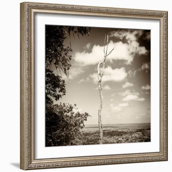 ¡Viva Mexico! Square Collection - Jungle View III-Philippe Hugonnard-Framed Photographic Print