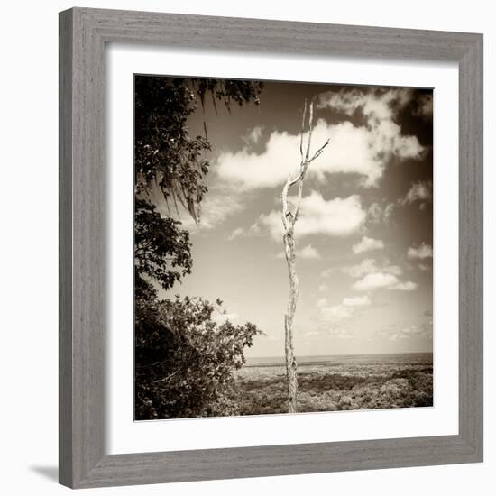 ¡Viva Mexico! Square Collection - Jungle View III-Philippe Hugonnard-Framed Photographic Print