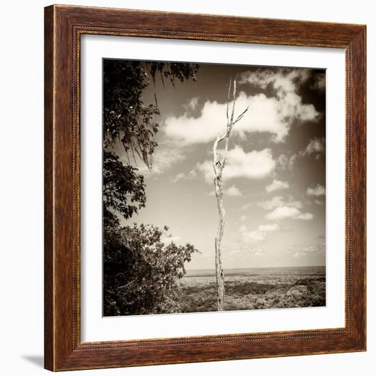 ¡Viva Mexico! Square Collection - Jungle View III-Philippe Hugonnard-Framed Photographic Print