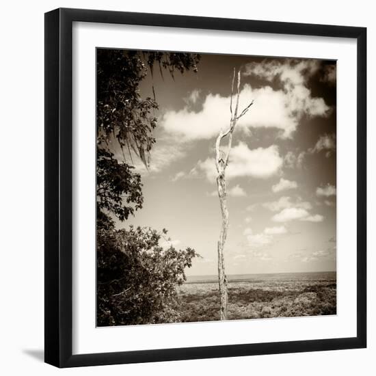 ¡Viva Mexico! Square Collection - Jungle View III-Philippe Hugonnard-Framed Photographic Print