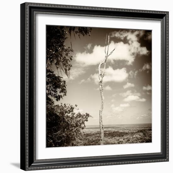 ¡Viva Mexico! Square Collection - Jungle View III-Philippe Hugonnard-Framed Photographic Print