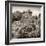 ¡Viva Mexico! Square Collection - Mayan Pyramid of Calakmul II-Philippe Hugonnard-Framed Photographic Print