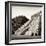 ¡Viva Mexico! Square Collection - Mayan Temple of Inscriptions in Palenque I-Philippe Hugonnard-Framed Photographic Print