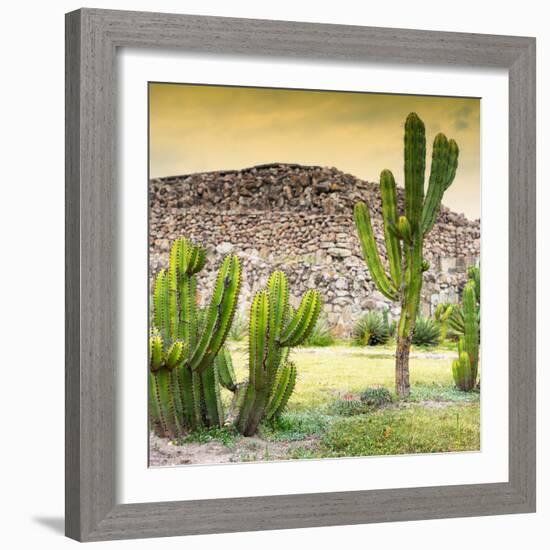 ¡Viva Mexico! Square Collection - Mexican Cactus at Sunset-Philippe Hugonnard-Framed Photographic Print