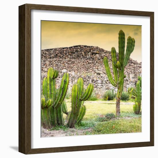 ¡Viva Mexico! Square Collection - Mexican Cactus at Sunset-Philippe Hugonnard-Framed Photographic Print