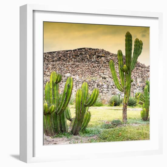 ¡Viva Mexico! Square Collection - Mexican Cactus at Sunset-Philippe Hugonnard-Framed Photographic Print