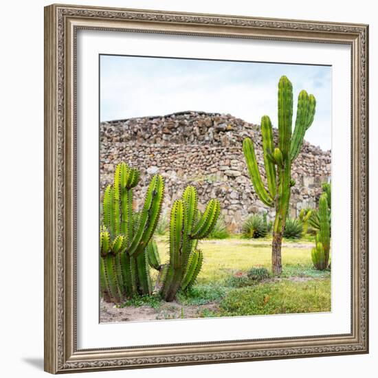 ¡Viva Mexico! Square Collection - Mexican Cactus II-Philippe Hugonnard-Framed Photographic Print