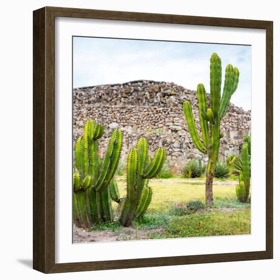 ¡Viva Mexico! Square Collection - Mexican Cactus II-Philippe Hugonnard-Framed Photographic Print