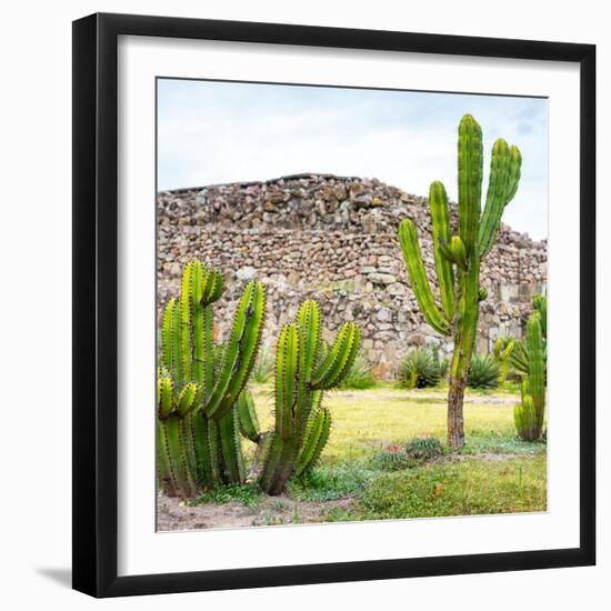 ¡Viva Mexico! Square Collection - Mexican Cactus II-Philippe Hugonnard-Framed Photographic Print