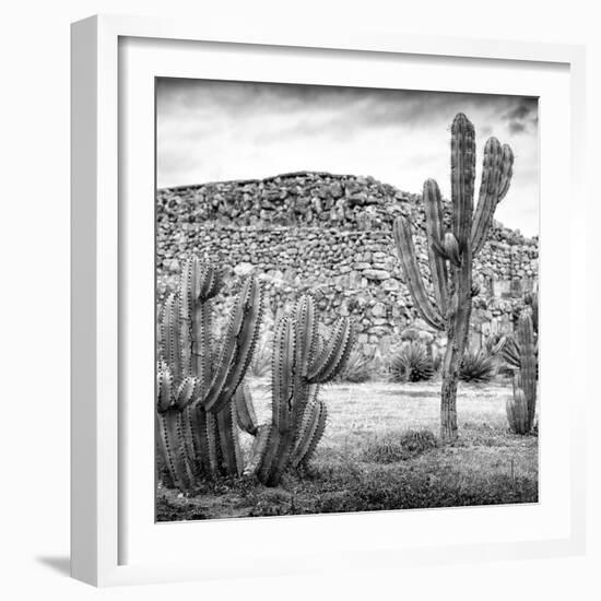 ¡Viva Mexico! Square Collection - Mexican Cactus III-Philippe Hugonnard-Framed Photographic Print