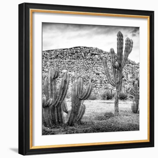 ¡Viva Mexico! Square Collection - Mexican Cactus III-Philippe Hugonnard-Framed Photographic Print