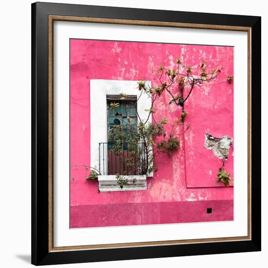 ¡Viva Mexico! Square Collection - Old Pink Facade II-Philippe Hugonnard-Framed Photographic Print