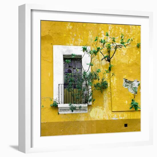 ¡Viva Mexico! Square Collection - Old Yellow Facade II-Philippe Hugonnard-Framed Photographic Print