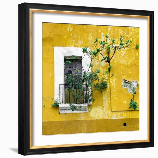 ¡Viva Mexico! Square Collection - Old Yellow Facade II-Philippe Hugonnard-Framed Photographic Print