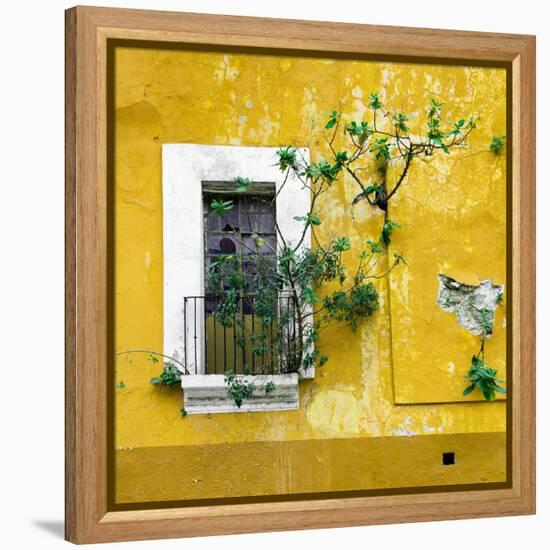 ¡Viva Mexico! Square Collection - Old Yellow Facade II-Philippe Hugonnard-Framed Premier Image Canvas