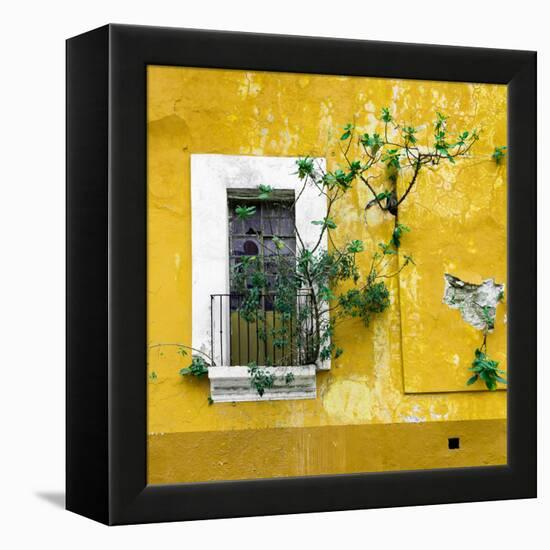 ¡Viva Mexico! Square Collection - Old Yellow Facade II-Philippe Hugonnard-Framed Premier Image Canvas