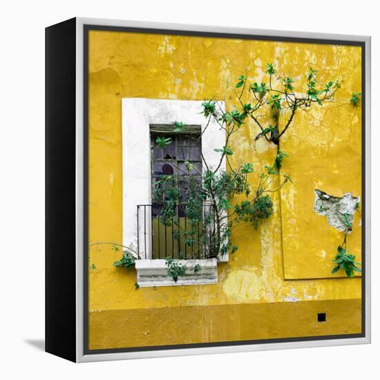 ¡Viva Mexico! Square Collection - Old Yellow Facade II-Philippe Hugonnard-Framed Premier Image Canvas