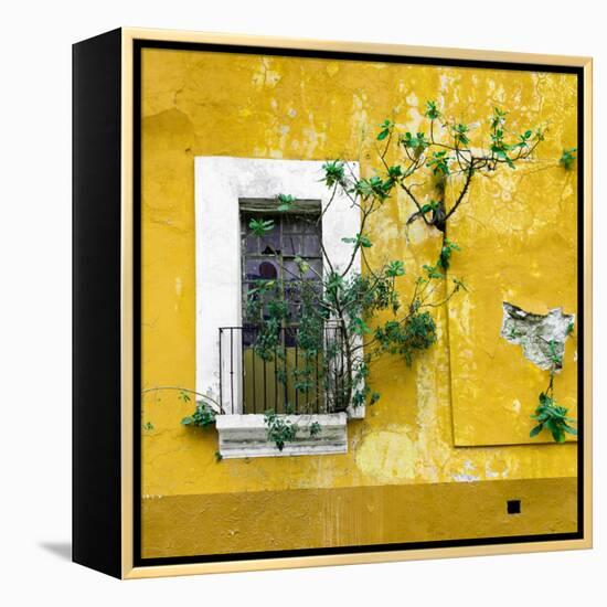 ¡Viva Mexico! Square Collection - Old Yellow Facade II-Philippe Hugonnard-Framed Premier Image Canvas