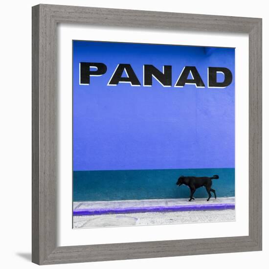 ¡Viva Mexico! Square Collection - "PANAD" Blue Street Wall-Philippe Hugonnard-Framed Photographic Print