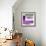 ¡Viva Mexico! Square Collection - Purple Extra-Philippe Hugonnard-Framed Photographic Print displayed on a wall