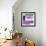 ¡Viva Mexico! Square Collection - Purple Extra-Philippe Hugonnard-Framed Photographic Print displayed on a wall