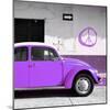 ¡Viva Mexico! Square Collection - Purple VW Beetle Car & Peace Symbol-Philippe Hugonnard-Mounted Photographic Print