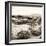 ¡Viva Mexico! Square Collection - Pyramid Maya of Monte Alban VIII-Philippe Hugonnard-Framed Photographic Print