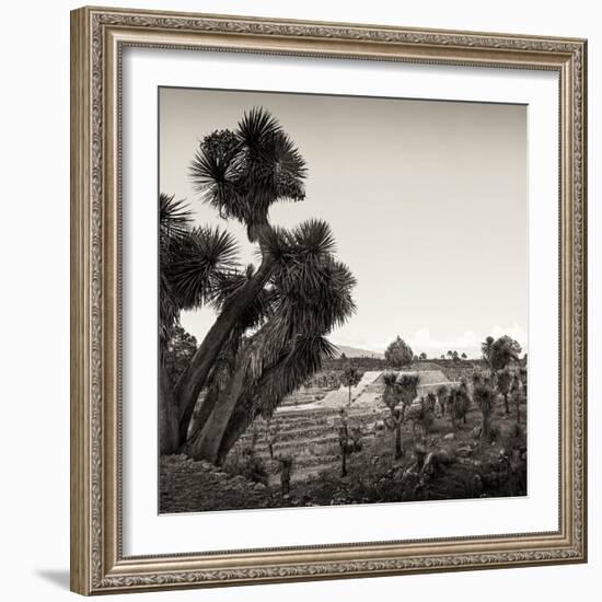 ¡Viva Mexico! Square Collection - Pyramid of Cantona Archaeological Ruins X-Philippe Hugonnard-Framed Photographic Print