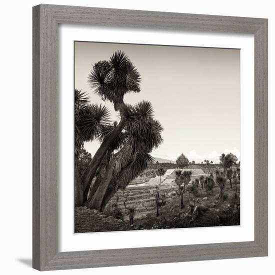 ¡Viva Mexico! Square Collection - Pyramid of Cantona Archaeological Ruins X-Philippe Hugonnard-Framed Photographic Print