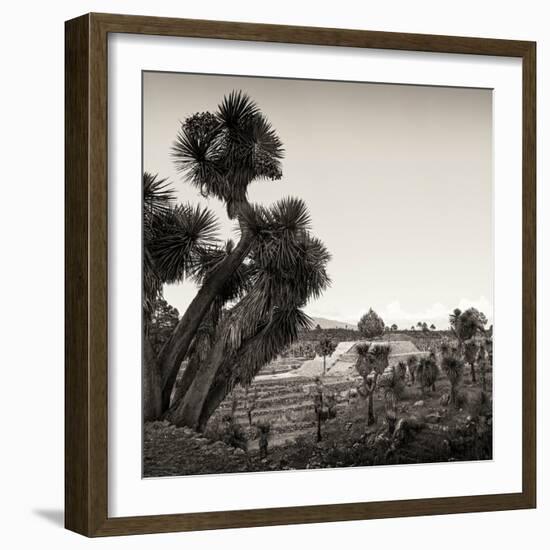 ¡Viva Mexico! Square Collection - Pyramid of Cantona Archaeological Ruins X-Philippe Hugonnard-Framed Photographic Print